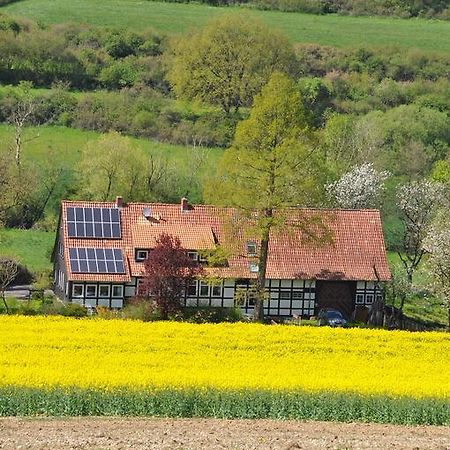 Forsthaus Wilmeroederberg Apartman Polle Kültér fotó
