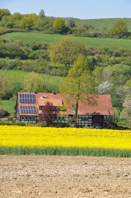 Forsthaus Wilmeroederberg Apartman Polle Kültér fotó
